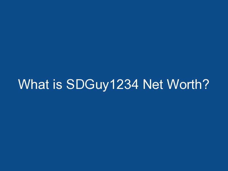 what is sdguy1234 net worth 1236