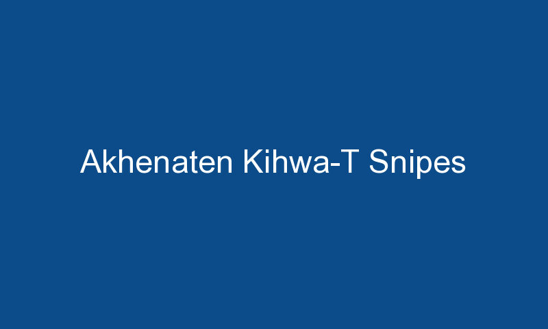 akhenaten kihwa t snipes 1687