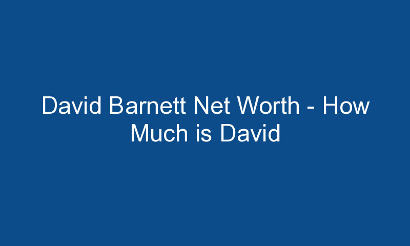 david barnett net worth how much is david barnett worth 1672