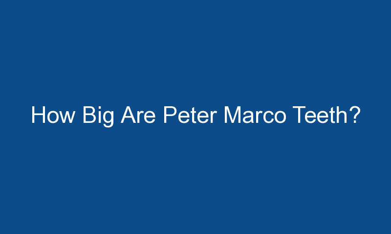 how big are peter marco teeth 1553