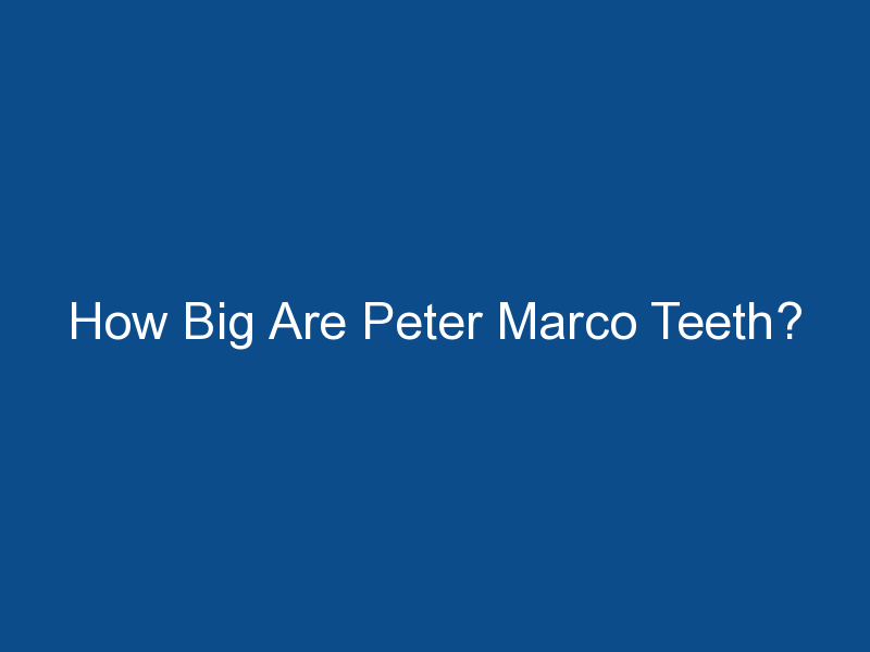 how big are peter marco teeth 1553