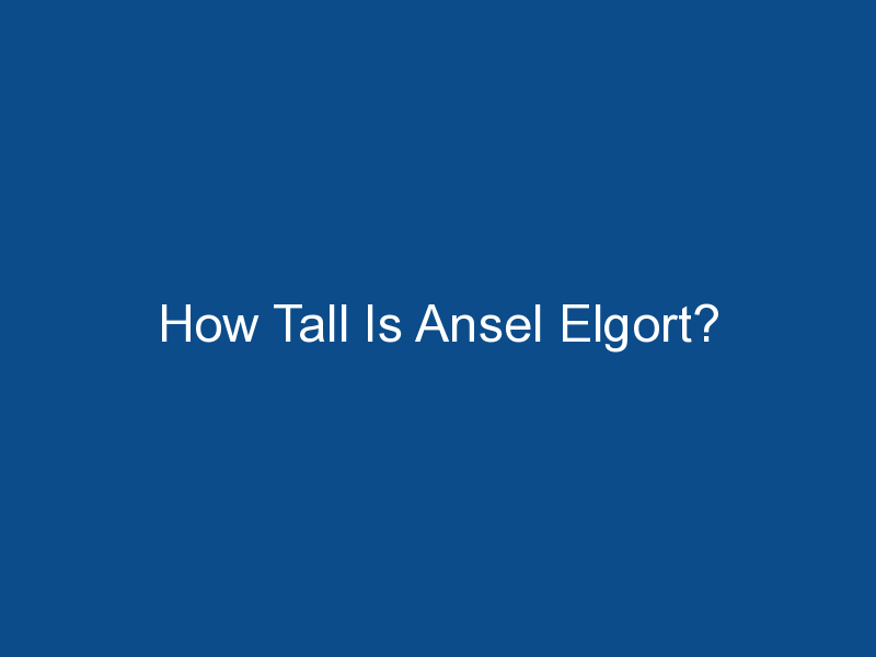 how tall is ansel elgort 1758