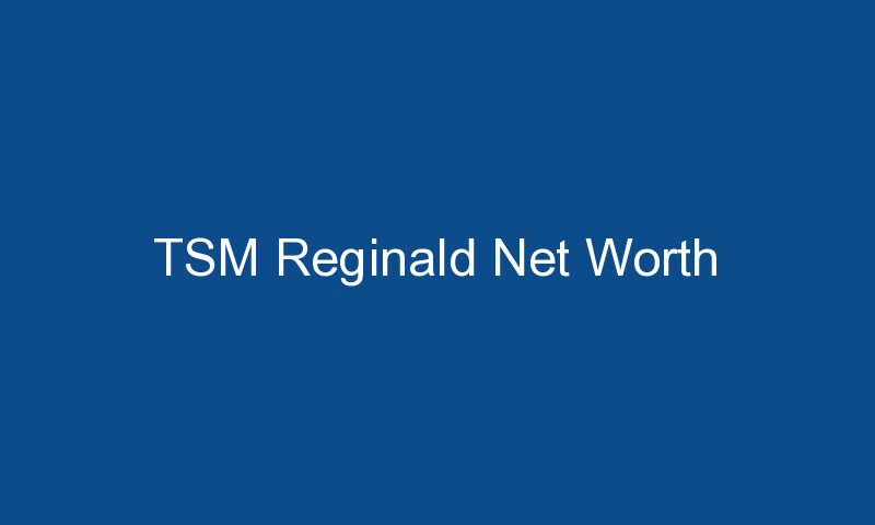 tsm reginald net worth 1675