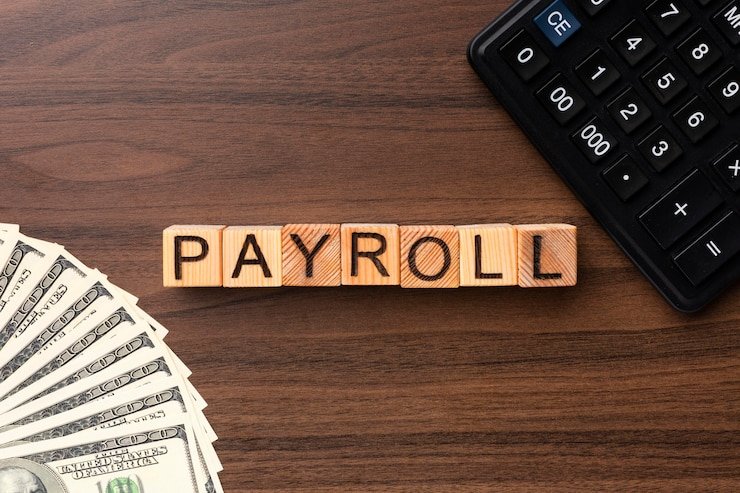 What Are Payroll software and How Do They Work?